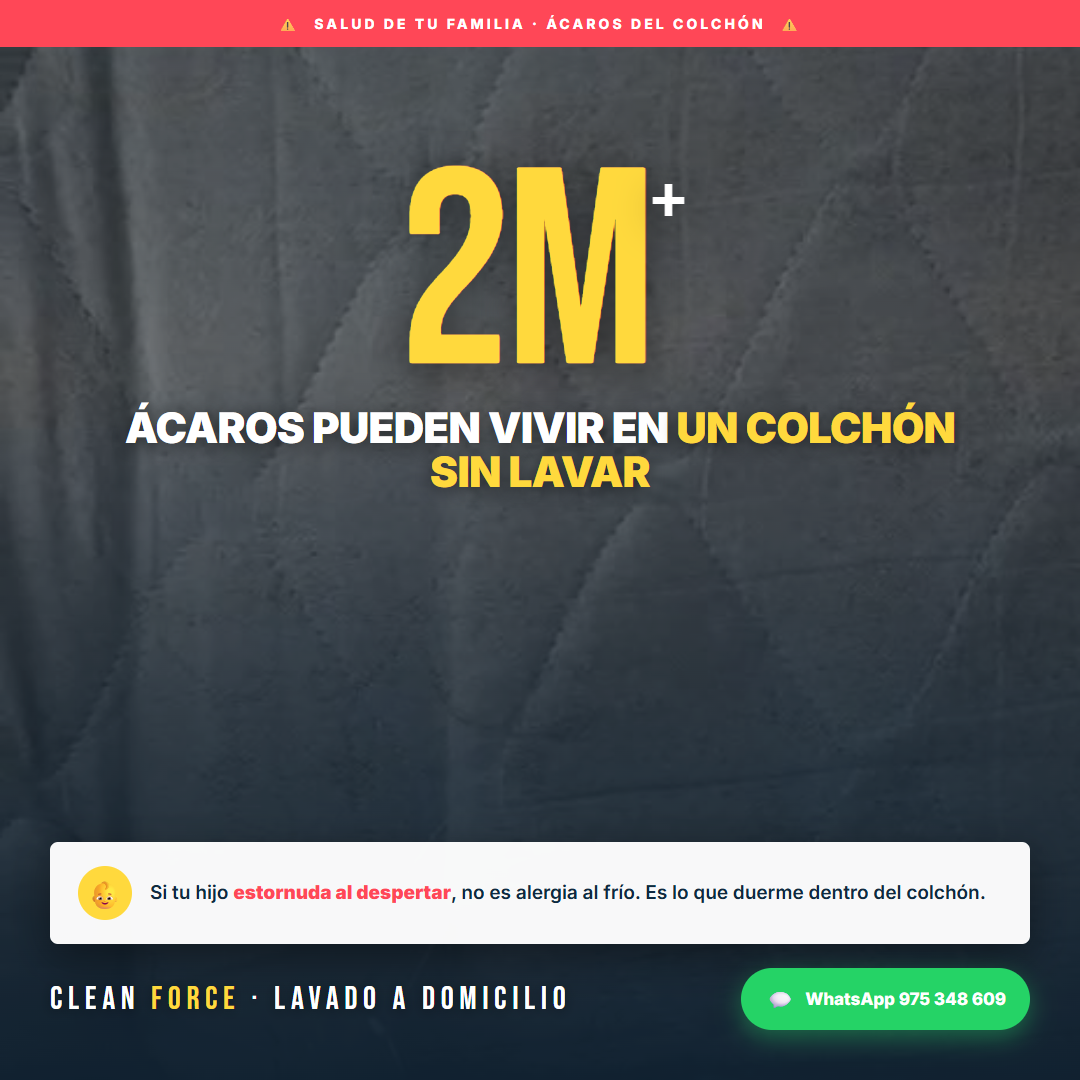 Colchón ácaros foto